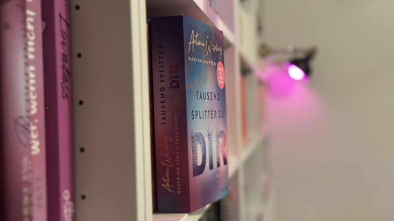 TAUSEND SPLITTER ZU DIR von Antonia Wesseling
