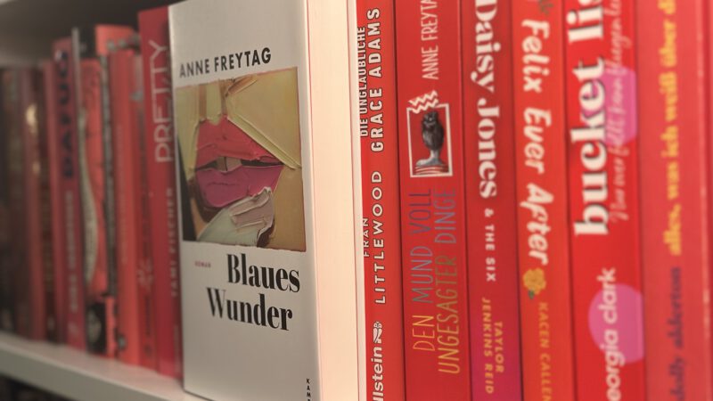 BLAUES WUNDER von Anne Freytag