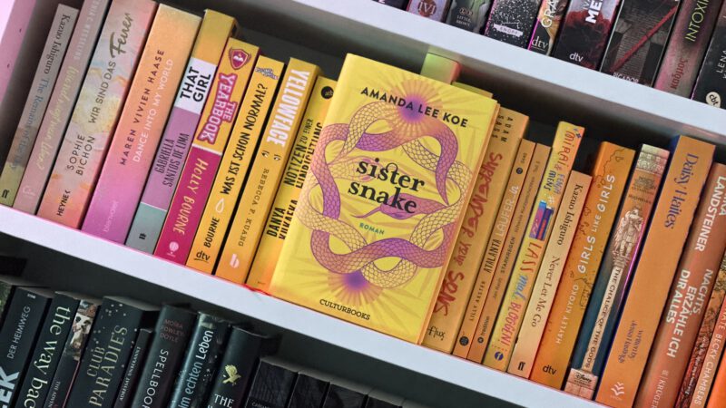 SISTER SNAKE von Amanda Lee Koe